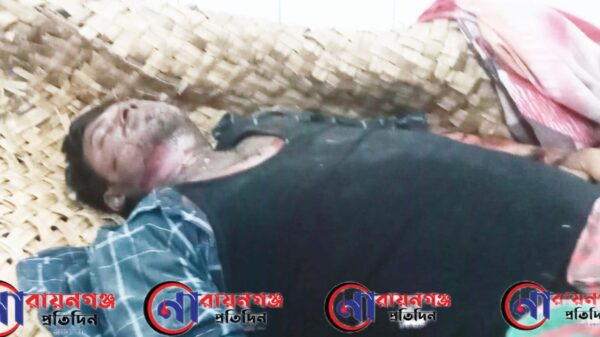 আড়াইহাজারে বিদ্যুৎস্পৃষ্টে লাইনম্যানের মৃত্যু